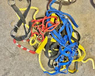 Horse Halters, Bridles, & robes