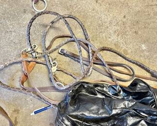 Horse Halters, Bridles, & robes