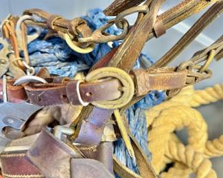 Horse Halters, Bridles, & ropes