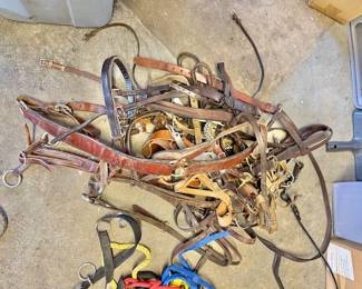Horse Halters, Bridles, & robes