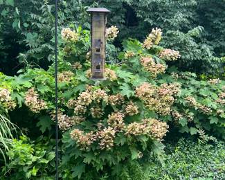 BIRD FEEDER
