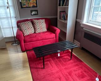 MODERN SETTEE AND FUN RED RUG