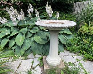 BIRD BATH