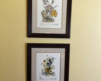 Set of 4 framed vintage botanical prints – 19.5w x 23h
