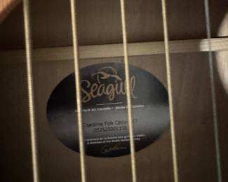 Seagull Guitar
