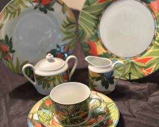 RARE! Vintage Mikasa Amazon pattern dishes