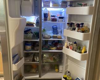 Samsung Fridge with cubed and crushed ice and water in door.