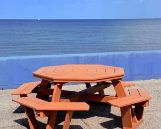 Heavy Duty Picnic Table