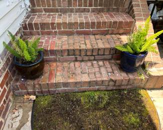 Lots of planters with great plants.