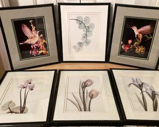 Six Small Framed Prints