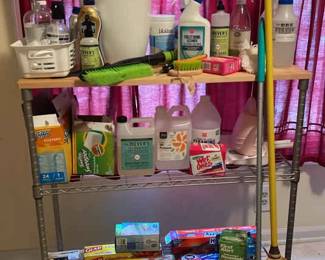 Household Cleaning And Organization Mystery Lot