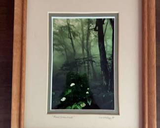 Forest Enchantment Signed Numbered McRary