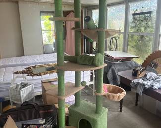 Cat condo tower clean