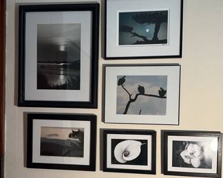 Black And White And Colorized Framed Prints