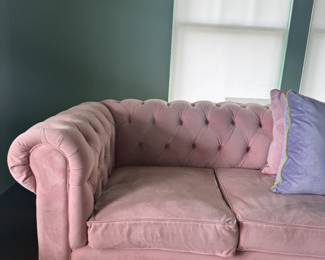 Pink Velvet Joybird sleeper couch. The bed is comfortable too!
