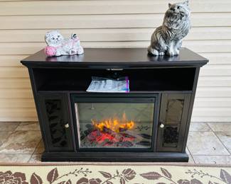 Keeping the kittens warm in June.