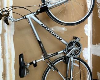 Raleigh Bicycle