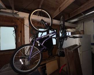 Bicycles x 2