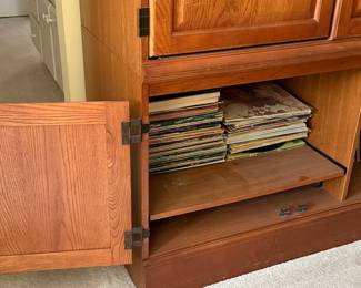 Vintage Vinyl Collection