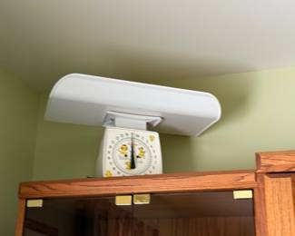 Vintage Scale
