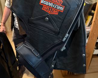 Harley Davidson hand painted chaps