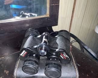 Biboculars