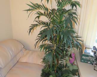 Large silk plants.