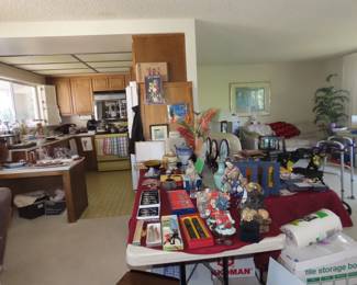 Living room area.