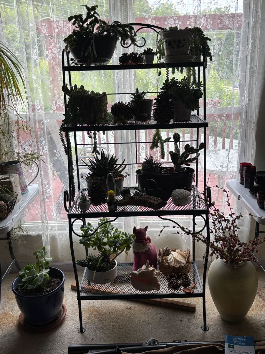 PLANT SHELF