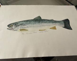 Rainbow trout