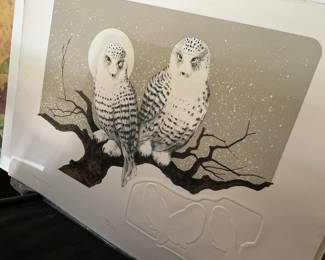 Snowy Owls