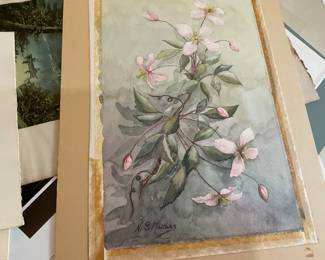 Botanic 