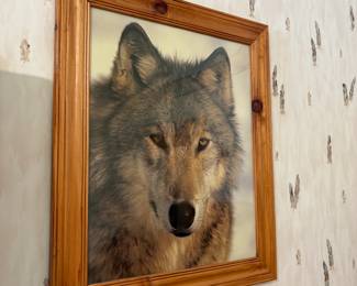 Wolf Framed Print
