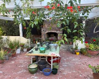 Plants and pottery