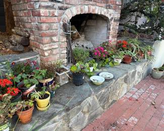 Plants and pottery