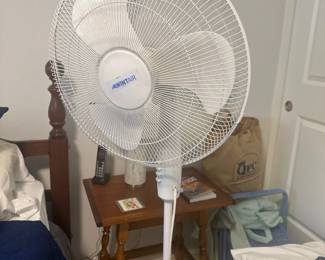 fan