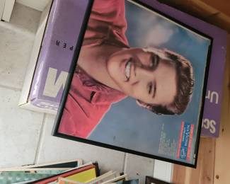 Elvis lps