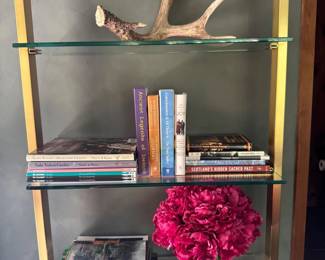 34 BookshelfDecorLot2AntlerGlassVaseGardenMindfulnessBooks