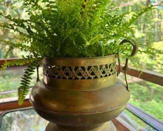 8 MetalPlanterwHandlesDecorativeCutoutsLiveFern20Tall