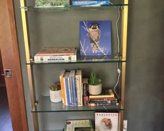 33 BookshelfDecorLot1GlassMushroomLampBooksMiniPlanters