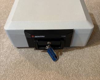 Protable Sentry 110 Lockable Fire Safe