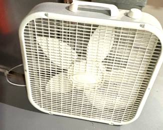 Fan