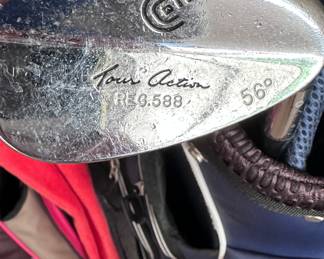 Men’s and women’s golf clubs 
Tour action 