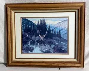 Framed Wildlife Print by Hayden Lambson 1988