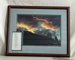 Framed Artwork 'Lament' by Steven Thurber