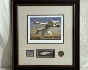 Limited Edition print by Joe Hautman, 7267/10500 Trumpeter Swans, $25 US Department of Interior Stamp