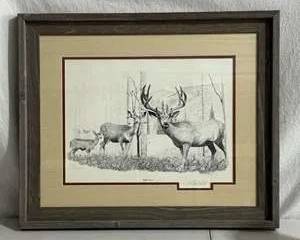 Mule Deer Artwork by D Noel Smith