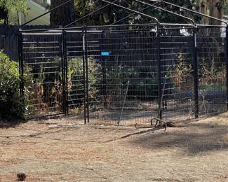 Large dog kennel