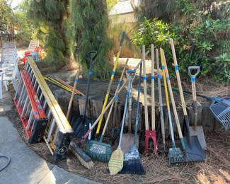 Garden and ladders
