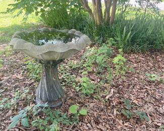 Bird bath